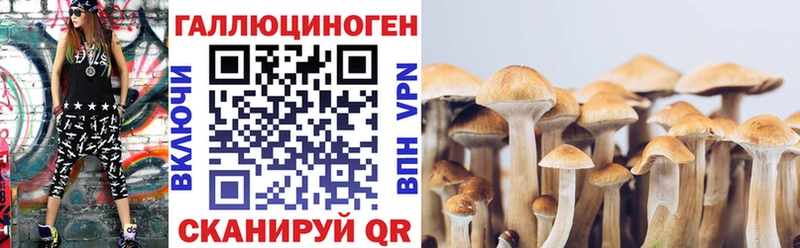 Псилоцибиновые грибы Psilocybe  даркнет как зайти  Киренск  что такое наркотик 